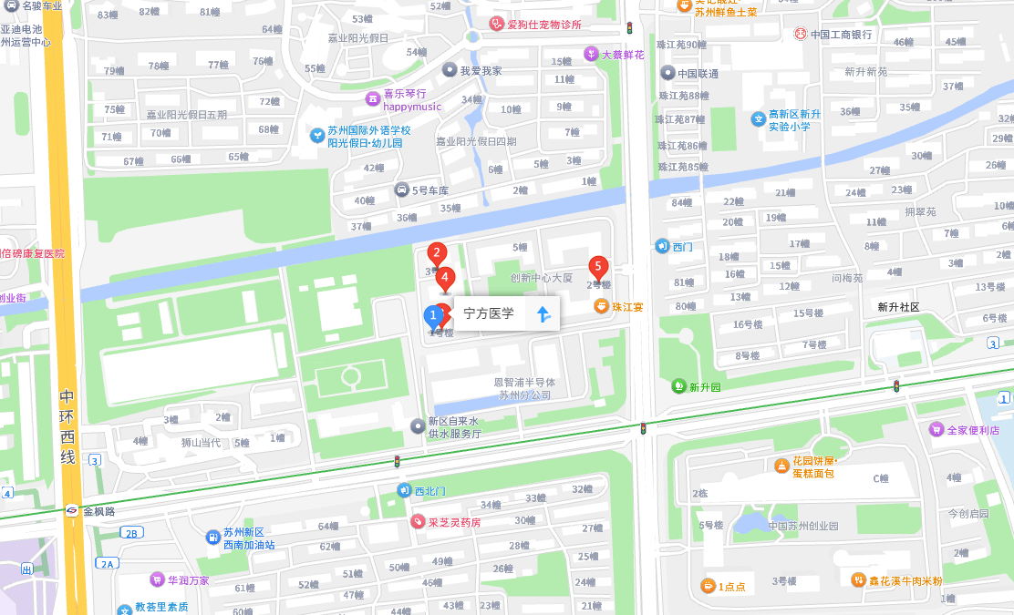 地图
